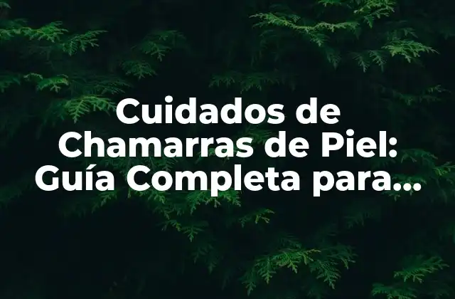 Cuidados de Chamarras de Piel: Guía Completa para Mantener Tu Prenda Favorita