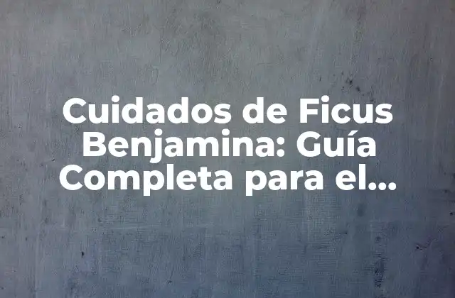 Cuidados de Ficus Benjamina: Guía Completa para el Crecimiento Saludable