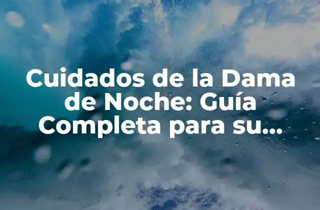 Cuidados de la Dama de Noche: Guía Completa para Su Crecimiento y Cuidado
