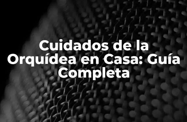 Cuidados de la Orquídea en Casa: Guía Completa