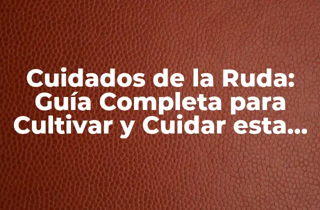 Cuidados de la Ruda: Guía Completa para Cultivar y Cuidar Esta Hierba Milagrosa