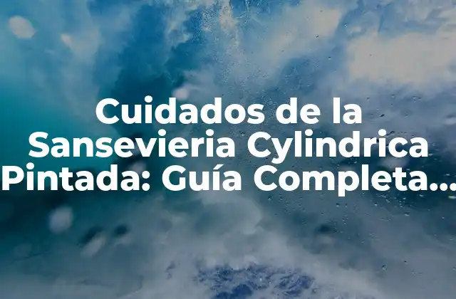Cuidados de la Sansevieria Cylindrica Pintada: Guía Completa para Principiantes
