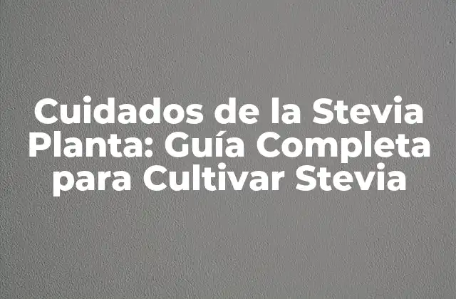 Cuidados de la Stevia Planta: Guía Completa para Cultivar Stevia