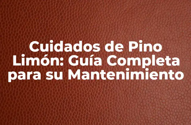Cuidados de Pino Limón: Guía Completa para Su Mantenimiento
