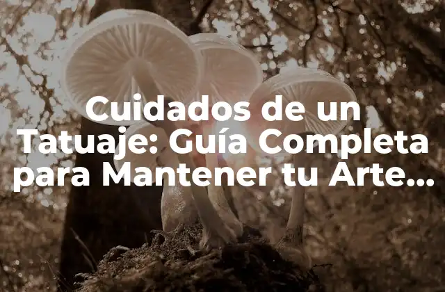 Cuidados de un Tatuaje: Guía Completa para Mantener Tu Arte Corporal