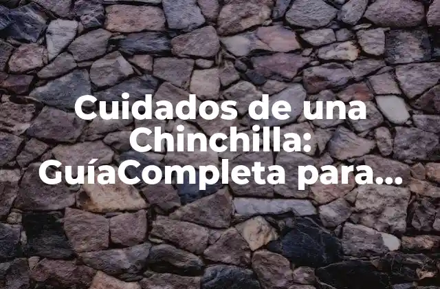 Cuidados de una Chinchilla: Guíacompleta para Propietarios de Mascotas 2 Alimentación y Nutrición para Chinchillas