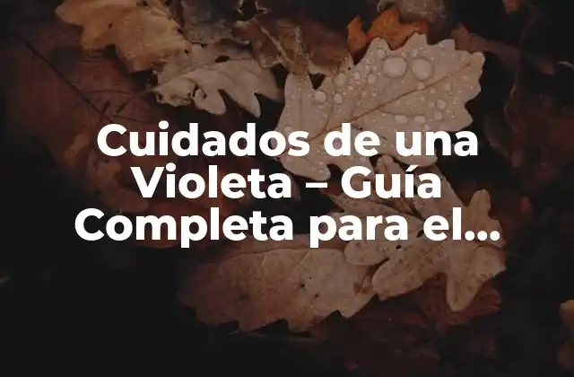 Cuidados de una Violeta – Guía Completa para el Cuidado de Violetas