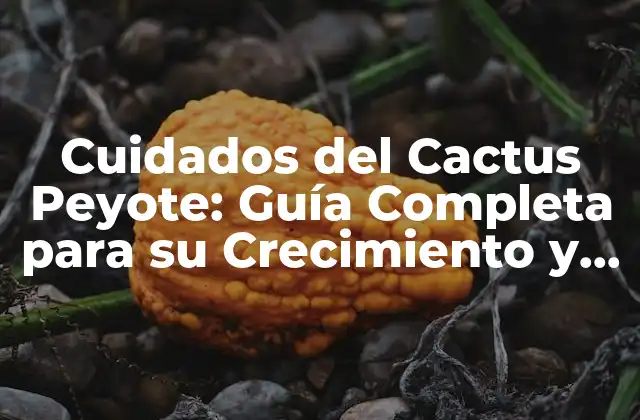 Cuidados Del Cactus Peyote: Guía Completa para Su Crecimiento y Conservación