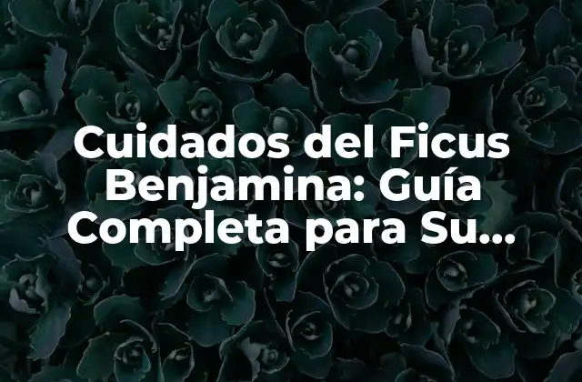 Cuidados Del Ficus Benjamina: Guía Completa para Su Mantenimiento