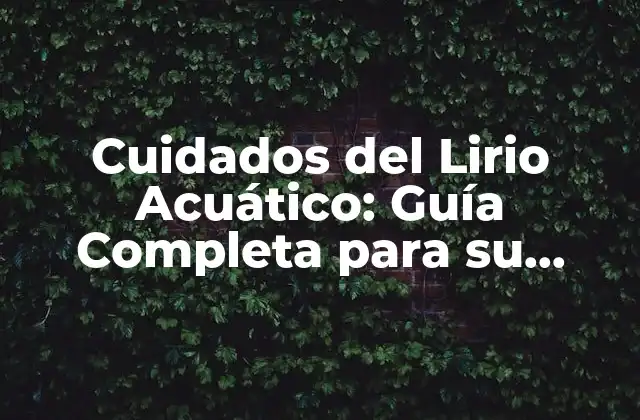 Cuidados Del Lirio Acuático: Guía Completa para Su Mantenimiento
