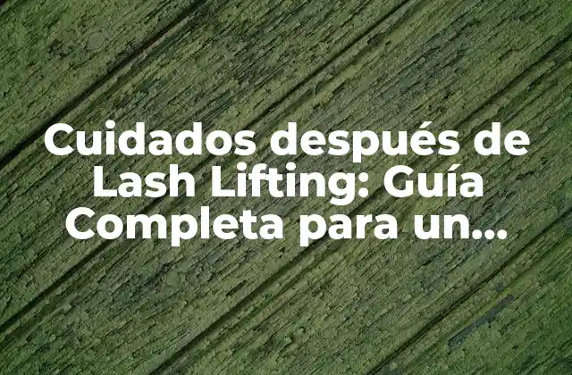 Cuidados Después de Lash Lifting: Guía Completa para un Resultado Óptimo