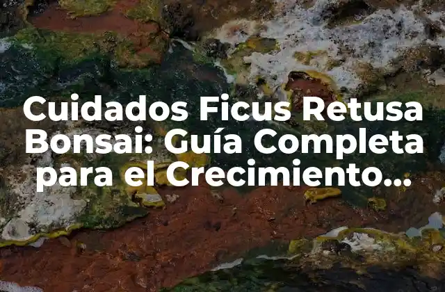 Cuidados Ficus Retusa Bonsai: Guía Completa para el Crecimiento Saludable