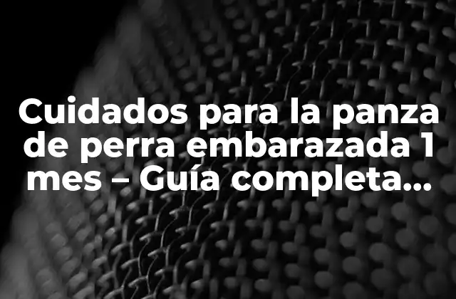 Cuidados para la Panza de Perra Embarazada 1 Mes – Guía Completa para Su Salud