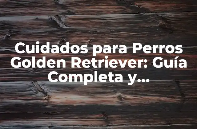 Cuidados para Perros Golden Retriever: Guía Completa y Actualizada