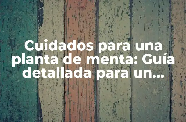 Cuidados para una Planta de Menta: Guía Detallada para un Crecimiento Saludable