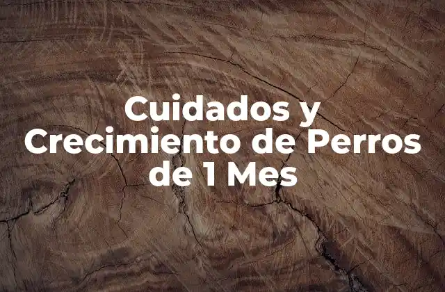 Cuidados y Crecimiento de Perros de 1 Mes