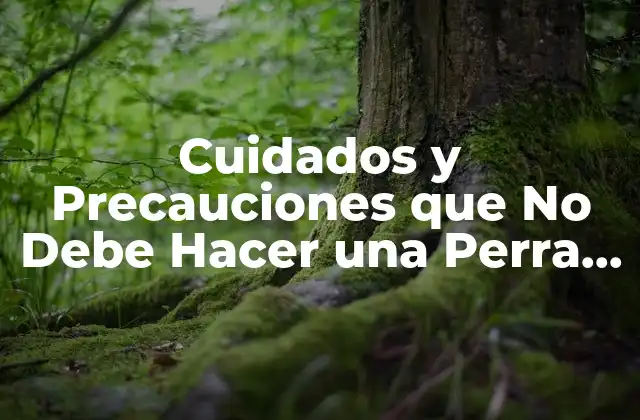 Cuidados y Precauciones que No Debe Hacer una Perra Embarazada