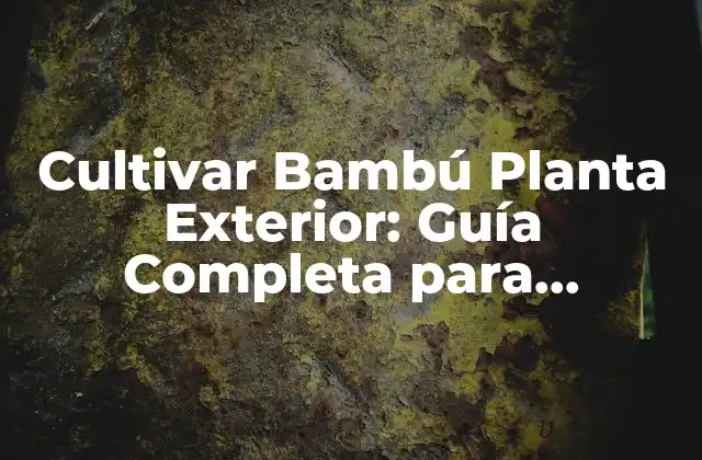 Cultivar Bambú Planta Exterior: Guía Completa para Jardines y Espacios Verdes