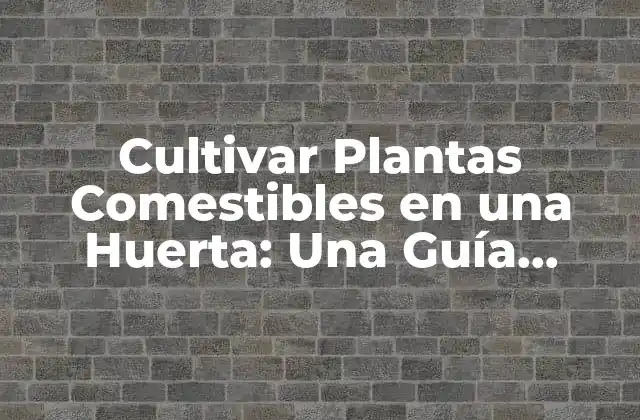 Cultivar Plantas Comestibles en una Huerta: una Guía Completa