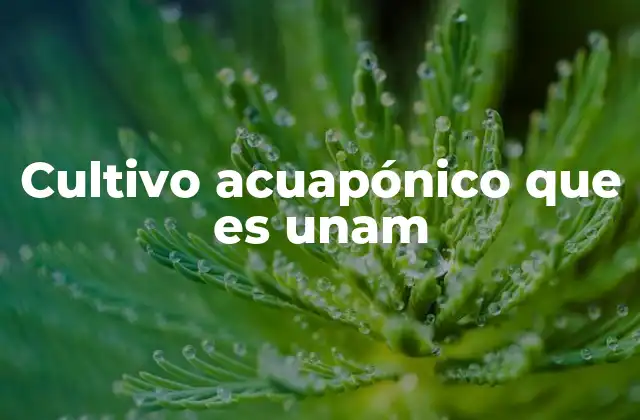Cultivo Acuapónico que es Unam