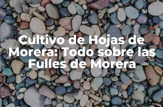 Cultivo de Hojas de Morera: Todo sobre las Fulles de Morera