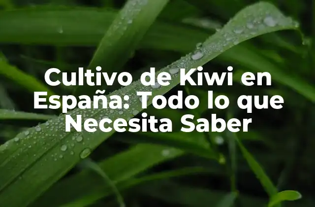 Cultivo de Kiwi en España: Todo Lo que Necesita Saber
