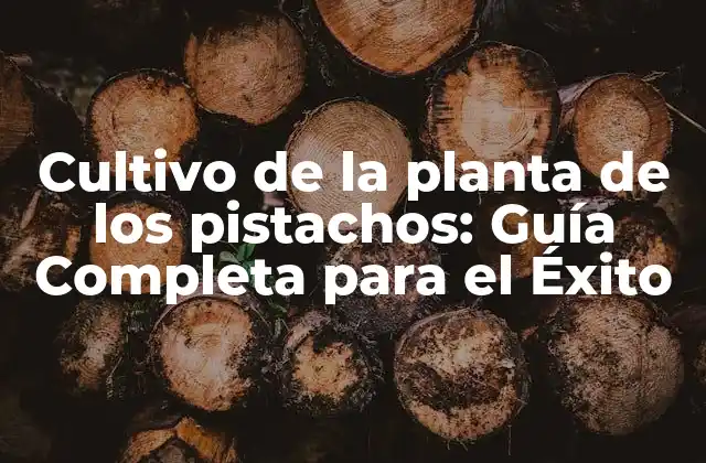 Cultivo de la Planta de los Pistachos: Guía Completa para el Éxito