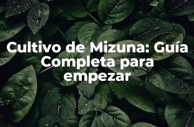 Cultivo de Mizuna: Guía Completa para Empezar 2 ¿Qué es la Mizuna y Cómo se consume?