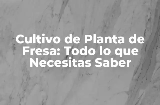 Cultivo de Planta de Fresa: Todo Lo que Necesitas Saber