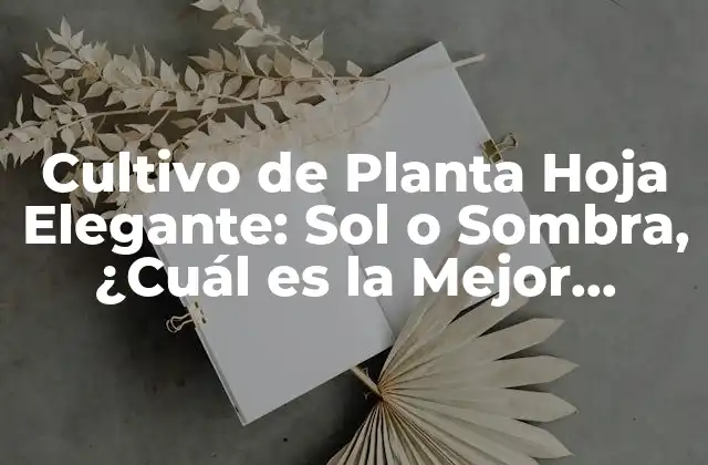 Cultivo de Planta Hoja Elegante: Sol o Sombra, ¿cuál es la Mejor Opción?