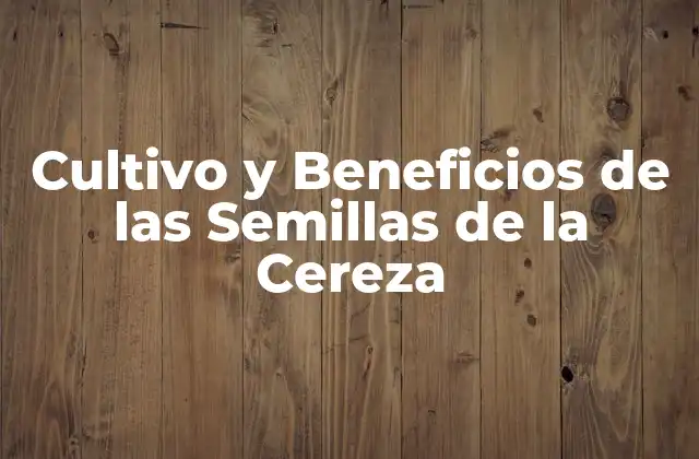 Cultivo y Beneficios de las Semillas de la Cereza