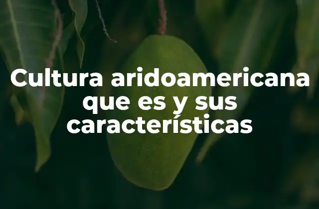 Cultura Aridoamericana que es y Sus Características