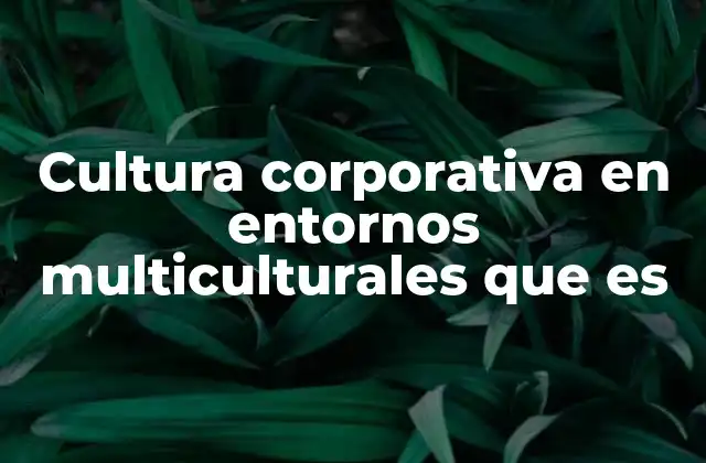 Cultura Corporativa en Entornos Multiculturales que es
