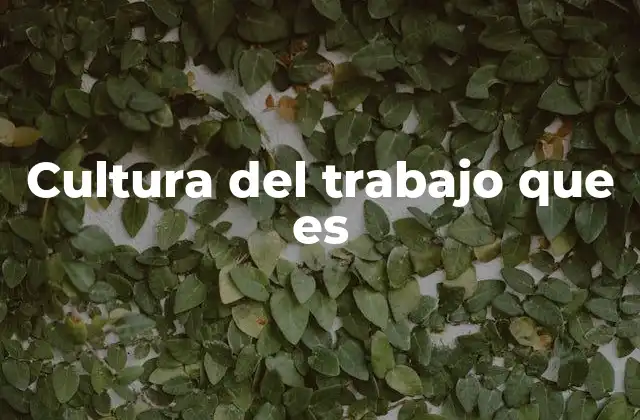 Cultura Del Trabajo que es