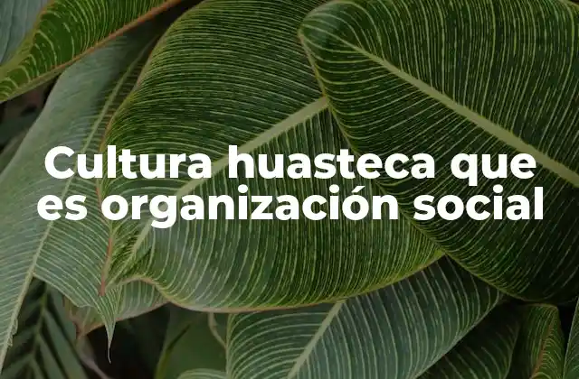 Cultura Huasteca que es Organización Social