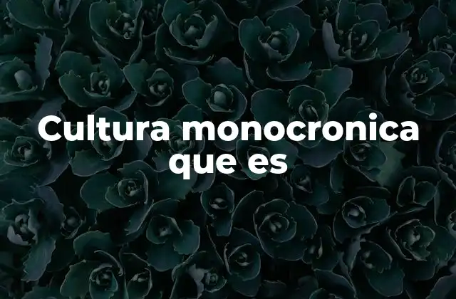 El impacto de la percepción del tiempo en el desarrollo social