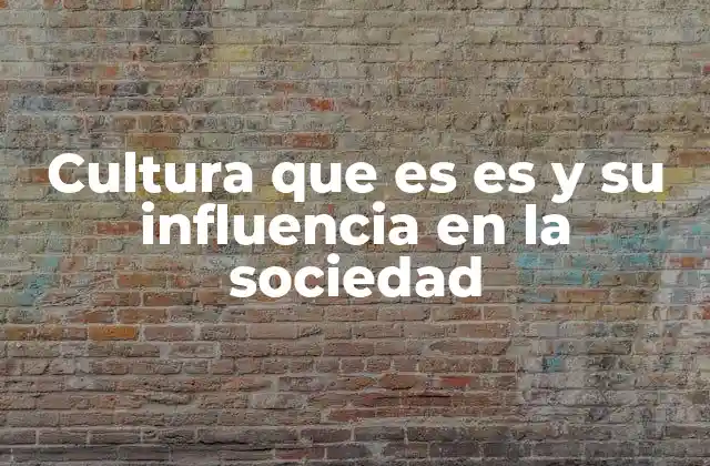 Cultura que es es y Su Influencia en la Sociedad