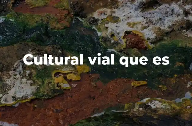 Cultural Vial que es