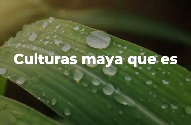 Orígenes y evolución de una civilización ancestral