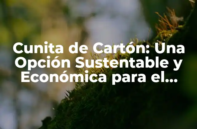 Cunita de Cartón: una Opción Sustentable y Económica para el Cuidado Del Bebé