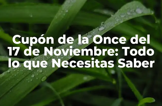 Cupón de la Once Del 17 de Noviembre: Todo Lo que Necesitas Saber