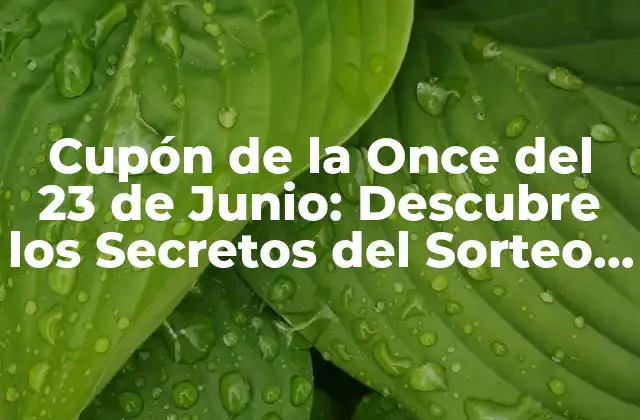 Cupón de la Once Del 23 de Junio: Descubre los Secretos Del Sorteo Más Popular de Argentina