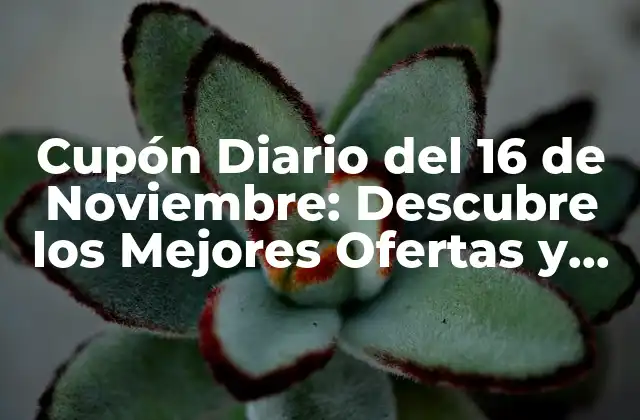 Cupón Diario Del 16 de Noviembre: Descubre los Mejores Ofertas y Descuentos