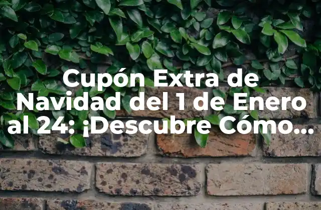 Cupón Extra de Navidad Del 1 de Enero Al 24: ¡descubre Cómo Obtenerlo!