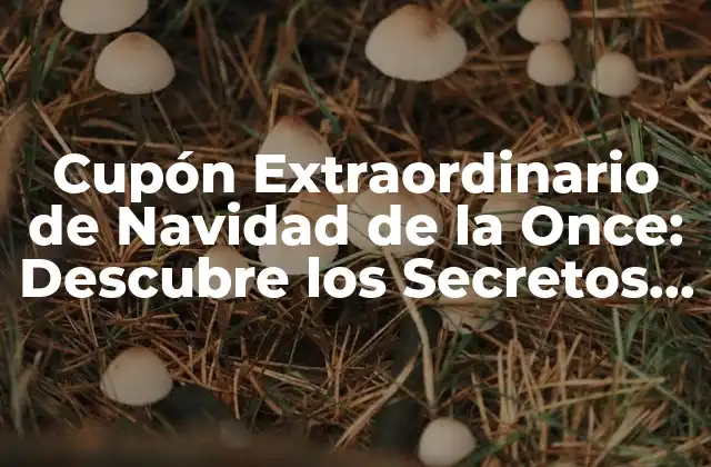 Cupón Extraordinario de Navidad de la Once: Descubre los Secretos de los Premios