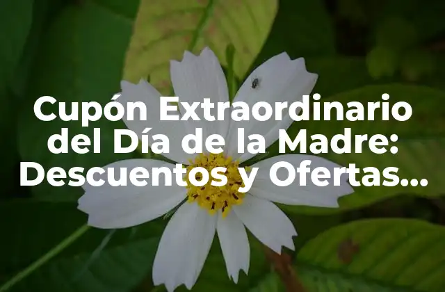 Cupón Extraordinario Del Día de la Madre: Descuentos y Ofertas Exclusivas