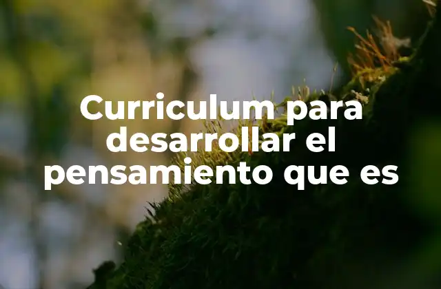 Curriculum para Desarrollar el Pensamiento que es