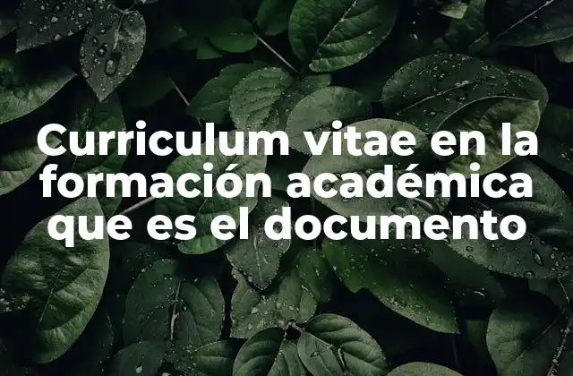 Curriculum Vitae en la Formación Académica que es el Documento