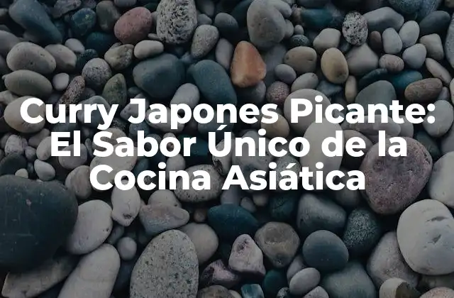 Curry Japones Picante: el Sabor Único de la Cocina Asiática