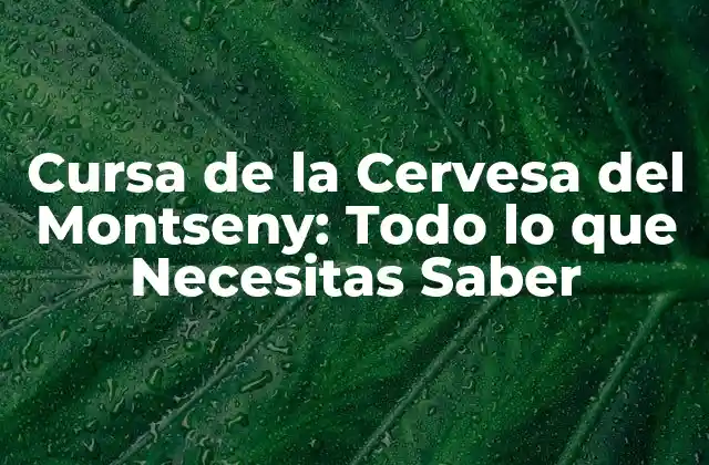 Cursa de la Cervesa Del Montseny: Todo Lo que Necesitas Saber